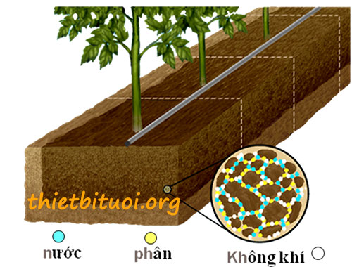 Nguyên lý hoạt động tưới nhỏ giọt