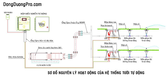 Sơ đồ nguyên lý hoạt động hệ thống tưới cỏ sân vườn