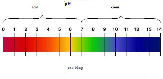 Độ pH của bể bơi