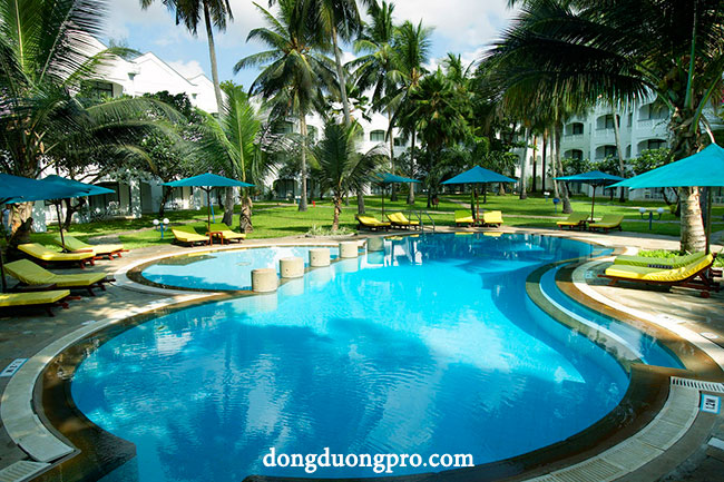 be-boi-sach-cho-gia-dinh Những vấn đề lưu ý khi xây dựng hồ bơi