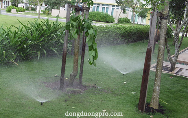 Béc tưới cỏ sprays bán kính 5m