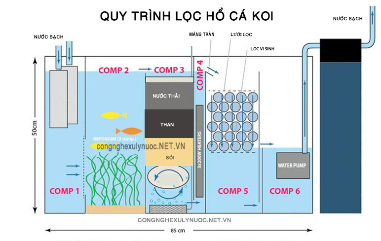 Lọc hồ cá koi