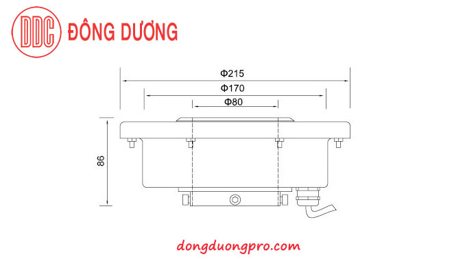 Kich thước kỹ thuật đèn Led cho đài phun nước nghệ thuật DDL-215GK