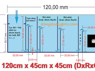 Sơ đồ nguyên lý bể lọc hồ cá hiệu quả nhất