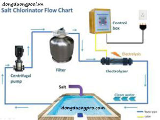 Quy trình hệ thống lọc bể bơi