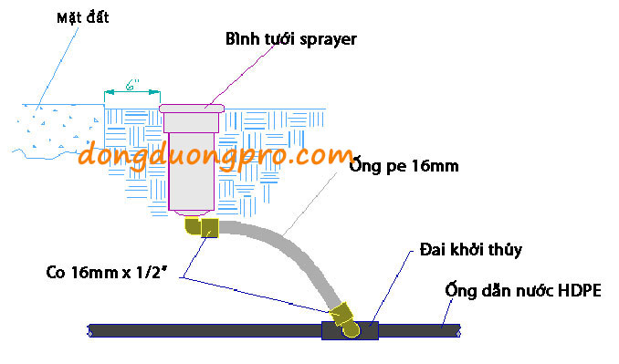 Chi tiết bản vẽ kết nối giữa ống HDPE và béc phun nước xoay