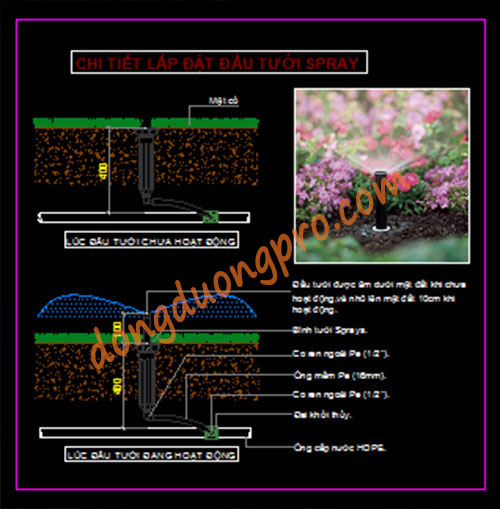 Bản vẽ thiết kế hệ thống tưới cỏ